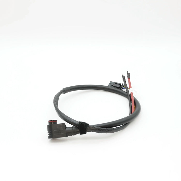 Power harness adapter-Electronics-CAKE-Power harness XL-cakeservice.co